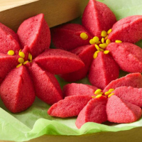 FailWin: Poinsettia Cookies
