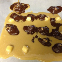 Fail: *Easy* Chocolate Dipped Caramallow Blob