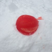 Fail: Gorgeous Lawn Marbles