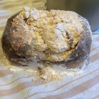 Fail: Paleo Sandwich Bread