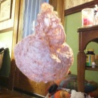 Fail: Magic String Easter Egg
