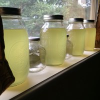 Fail: Homemade Citrus Liqueur