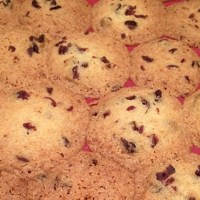 FailWin: Festive Orange And Cranberry Shortbread
