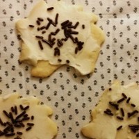 Fail: Hedgehog Cookies