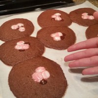User Error: Hot Chocolate Cookies