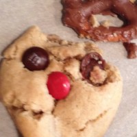 Fail: Reindeer Cookies