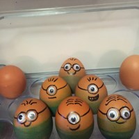 User Error: Minion Eggs