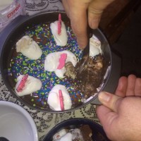 Fail: Circus Animal Cheesecake