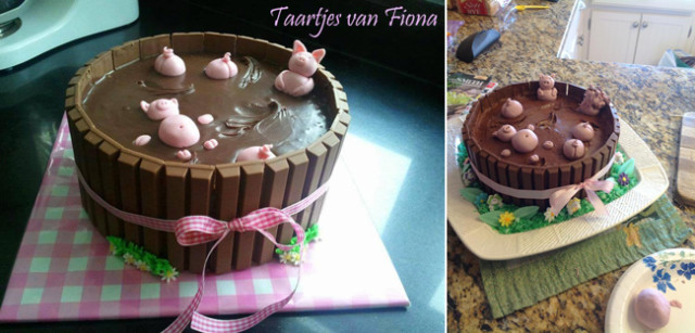 pinterest fail pigs swimming in mud cake storyboard