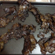 Pinterest Fail Kale chips result