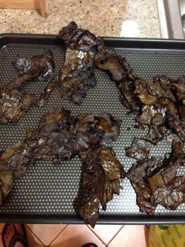 Pinterest Fail Kale chips result