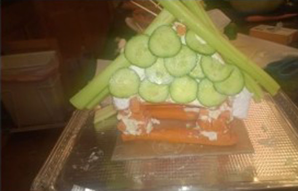 Pinterest Fail Veggie Lodge result