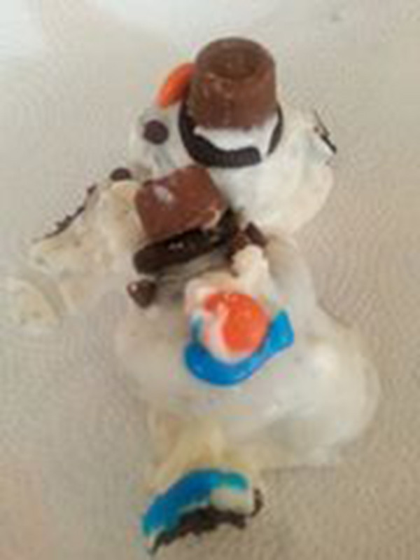 Pinterest-Fail-melting-snowmen-cookies-result