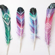 Pinterest Fail DIY Painted Feathers inspiration