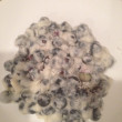 Pinterest Fail Frozen Blueberries In Greek Yogurt result
