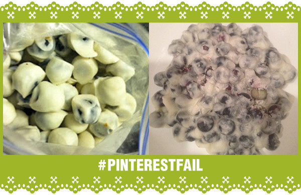 Pinterest Fail Frozen Blueberries In Greek Yogurt storyboard