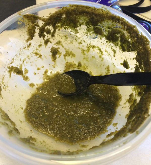 Pinterest Fail Kale Apple Soup result