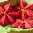 Pinterest Fail Poinsettia Cookies inspiration