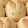 pinterest fail easter bunny rolls 2
