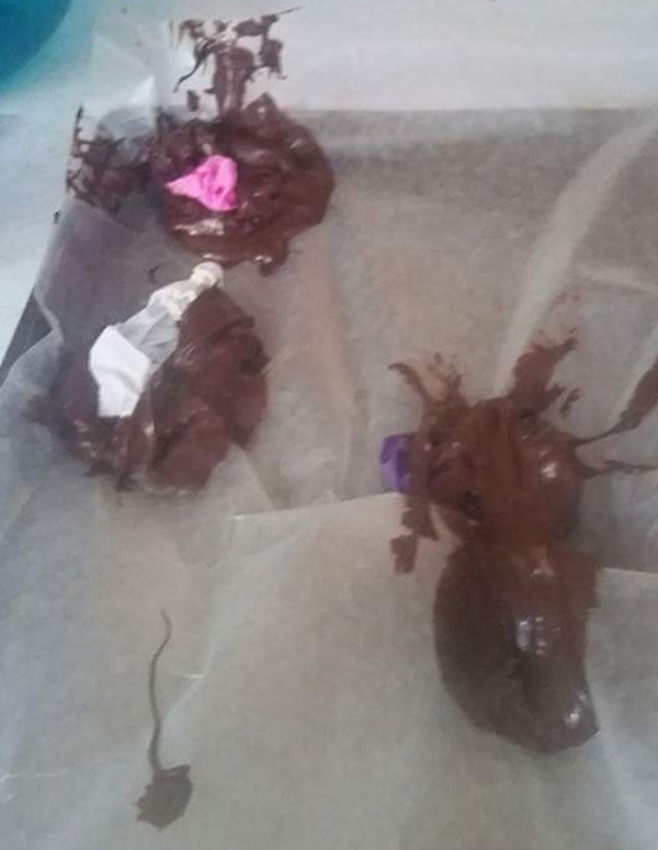 Pinterest Fail Chocolate Bowls result