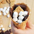 Pinterest Fail Campfire Cone inspiration