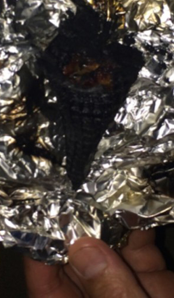 Pinterest Fail Campfire Cone result