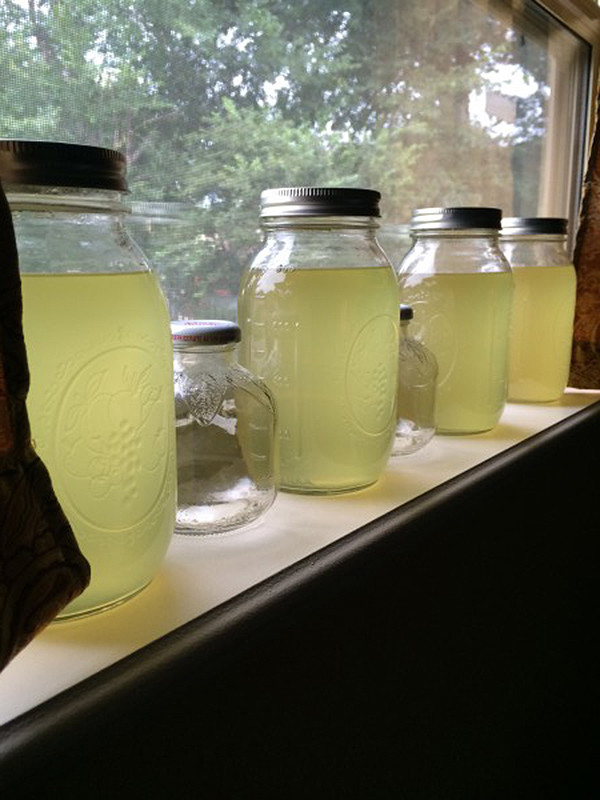 Pinterest Fail Homemade Citrus Liqueur result