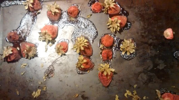 Pinterest Fail Strawberry Shame result