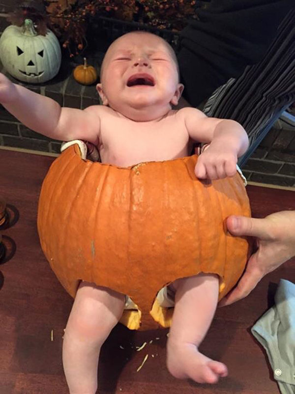 Pinterest Fail Pumpkin Baby result