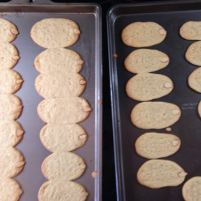 Pinterest Fail Halloween Cookies result
